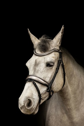 Equipride anatomical bridle - equipride,