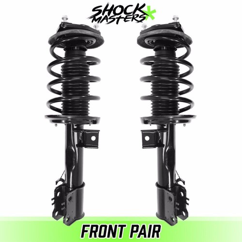 Front pair complete struts - front,