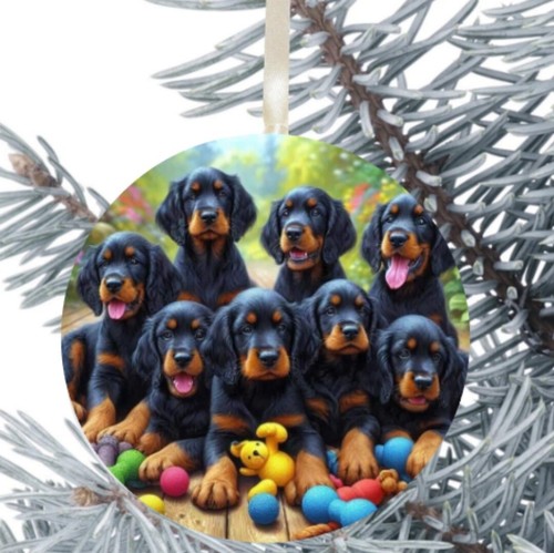 Gordon setter dog - setter, hanging