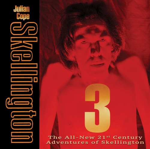 Julian cope skellington 3 - cope,