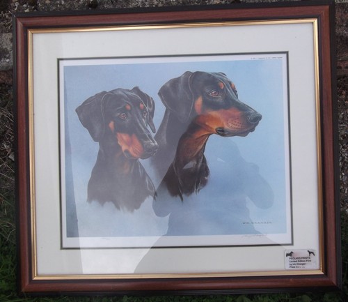 Doberman dog limited - ,