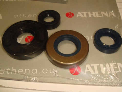 Oil seal engine minarelli - oil,
