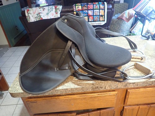 English horse riding - english,