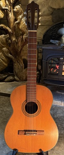 Ibanez vintage classical - vintage,