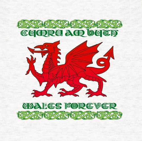Welsh cymru byth fabric - cymru, am