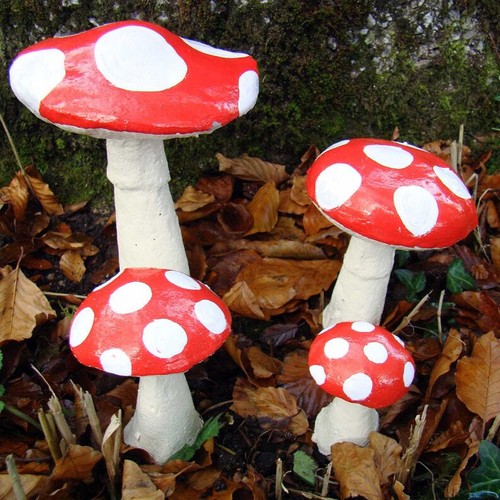Garden toadstool - toadstool,