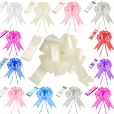 TtS Wedding Car Ribbon