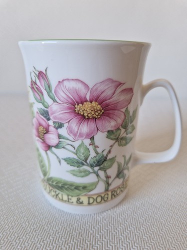 Vintage rose england - rose, of