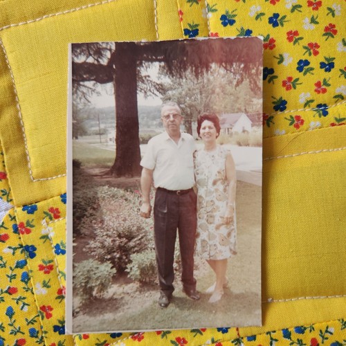 Vtg color snapshot photo 60s - vtg,