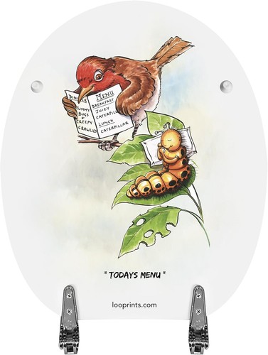 Fun novelty toilet seat soft - toilet,