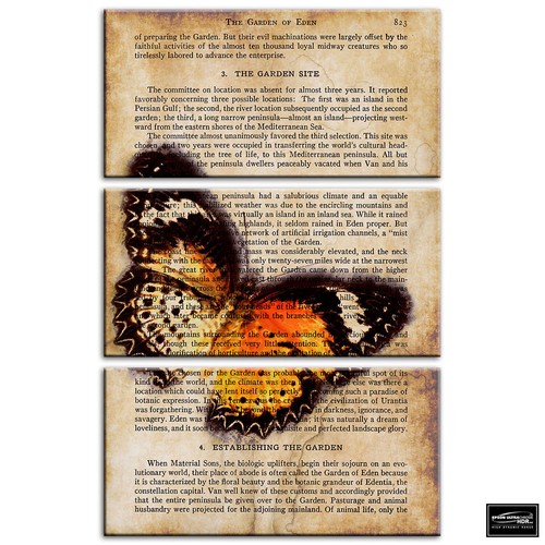 Butterfly vintage collage - vintage,