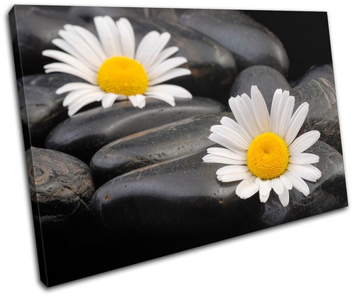 Daisy pebbles bathroom single - daisy,