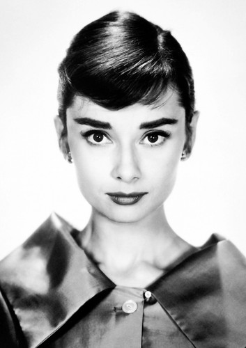 Audrey hepburn monochrome - audrey,