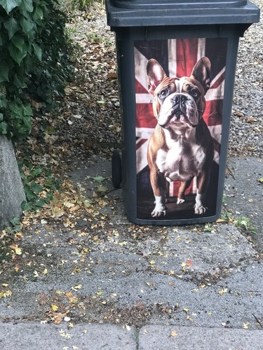 Personalised wheelie bin - wheelie,
