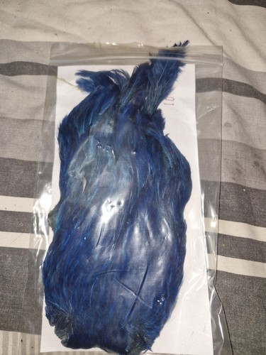 Hen cape fly tying - hen, cape,fly