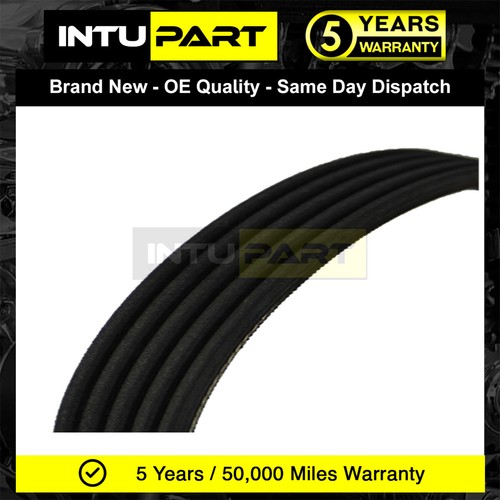 Fits mgf 45 75 200 - fits,