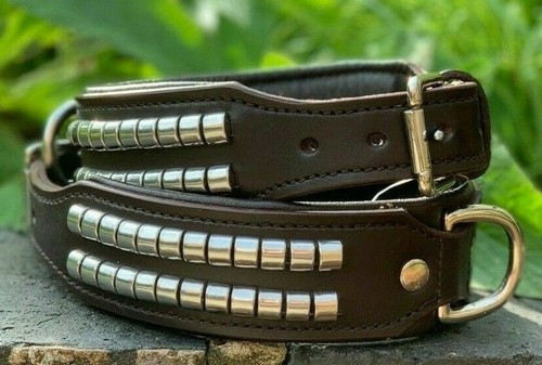 Leather dog collar studded - dog,