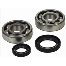 Crankshaft Bearing & Seal Kit