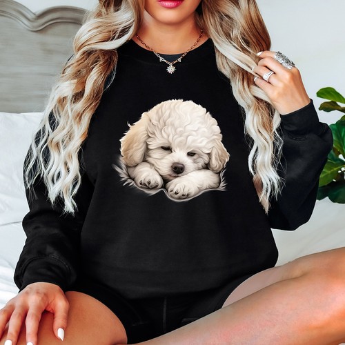 Bichon frise puppy - frise, animals