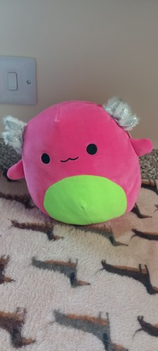 Squishmallow archie axolotl - archie,