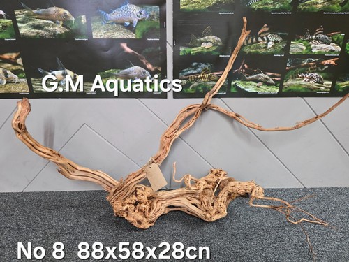 Azalea shaped aquarium - aquarium, wood
