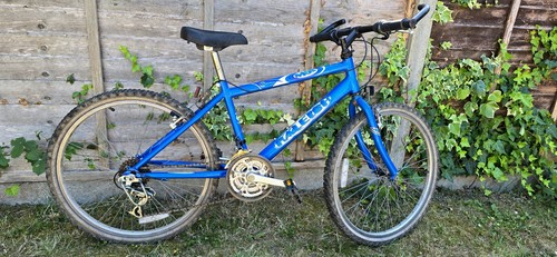 Raleigh krush children s - raleigh, 20"
