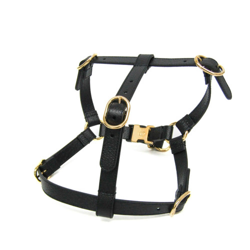 Gucci interlocking pet - gucci,
