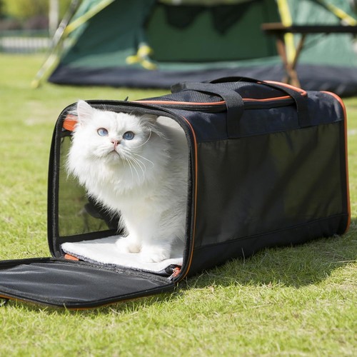 Foldable pet carrier - foldable, bag