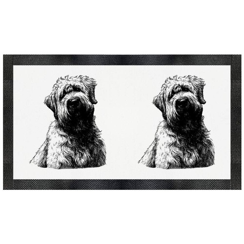 Soft coated wheaten - wheaten, terrier'
