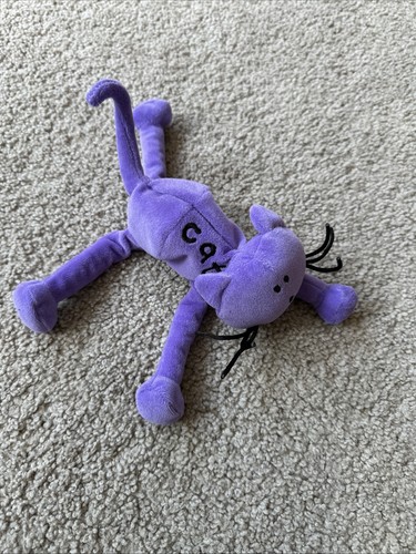 Bang the door - bang, cat