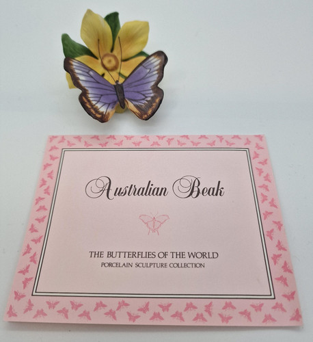 Australian beak butterflies - beak,