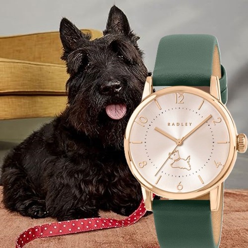 Radley ry21940a hunter green - ry21940a,