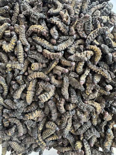 100g dried mopane worms - mopane,