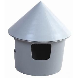 Racing pigeon loft aviary - racing, /