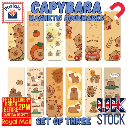 Cute capybara magnetic - capybara,