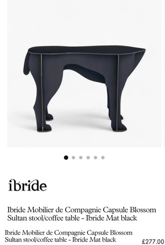 Ibride sultan dog - 'sultan',