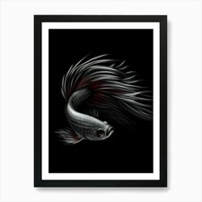 Siamese fighting fish - fish, art