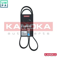 VRIBBED BELT 7016080 FOR