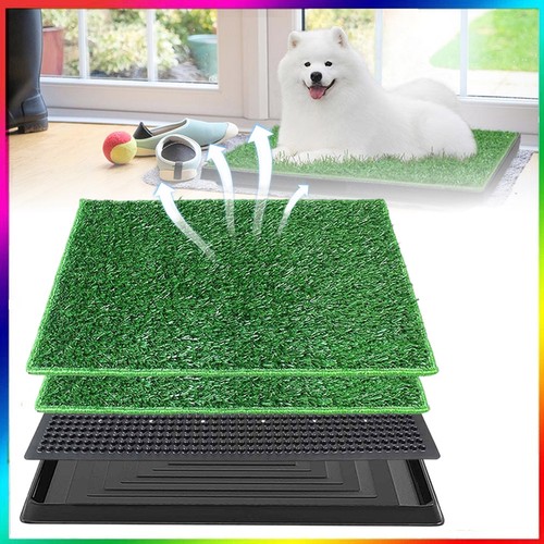 Pet dog toilet mat indoor - pet,