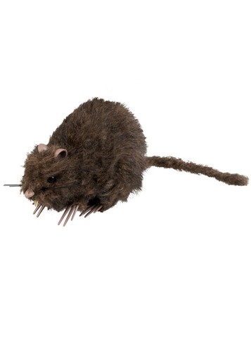 Halloween cute prop fluffy - fluffy, rat