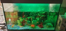 60LTR Fish Tank with Light and Accessories
