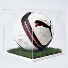 Football Display Case With A White Grass Effect Base