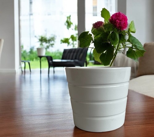 White ikea kardemumma - kardemumma, ceramic