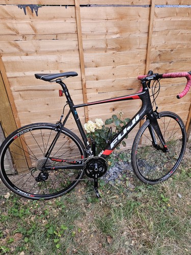 Fuji altamira carbon road - 2.7,