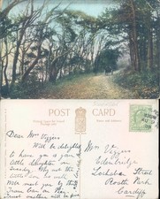 Weston Woods super Mare