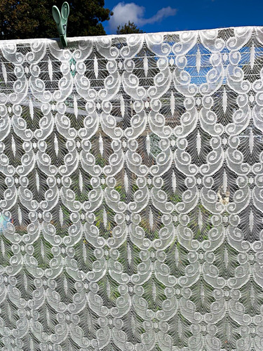 White floral lace - white,