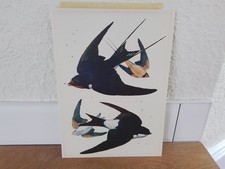 1947 Lithograph Charles Tunnicliffe Swallows House Martins