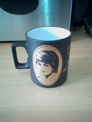 Charles and diana - charles, royal