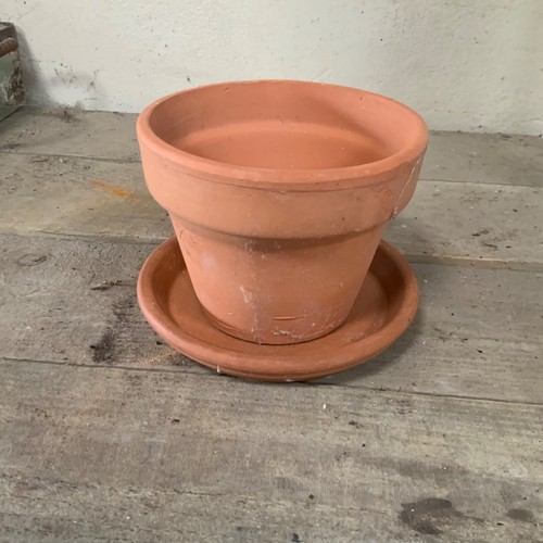 Antique weathered small garden - weathered,