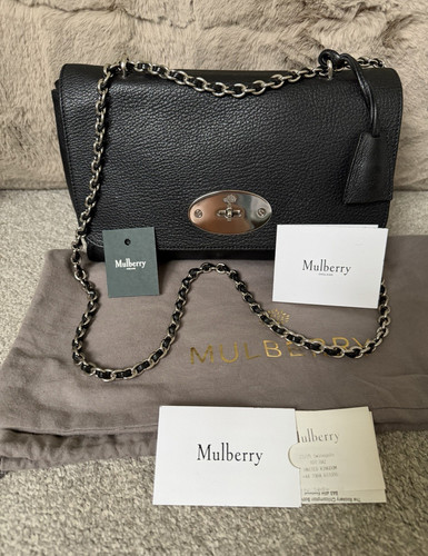 Mulberry medium lily - mulberry, lily.